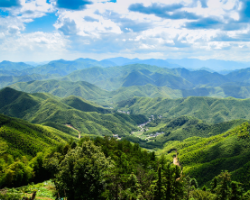 Booming Bamboo shows the (re)discovery of a sustainable material with endless possibilities